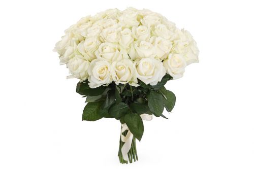 Заказать с доставкой 41 белую розу по Новоалександровке